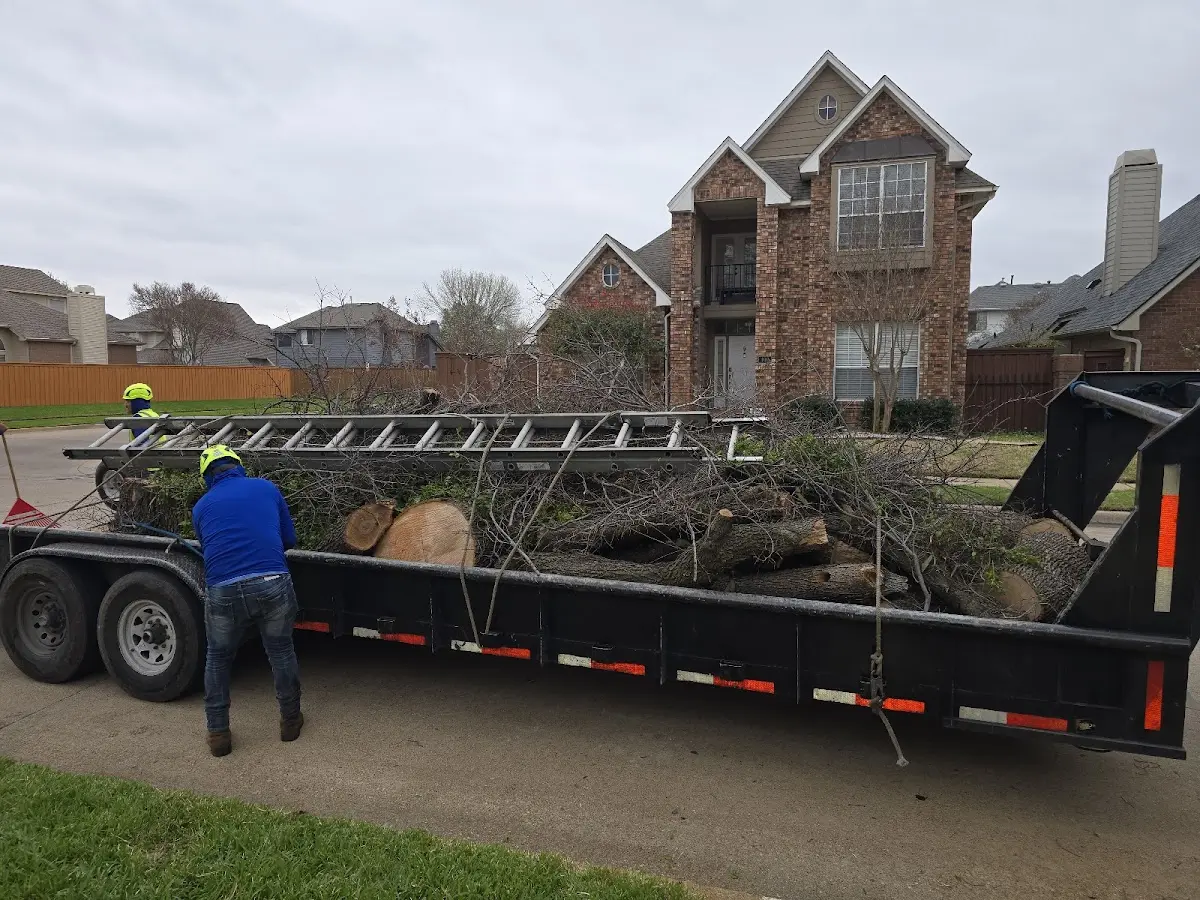 Expert Crown Reduction with proper safety equipment in East Dubuque